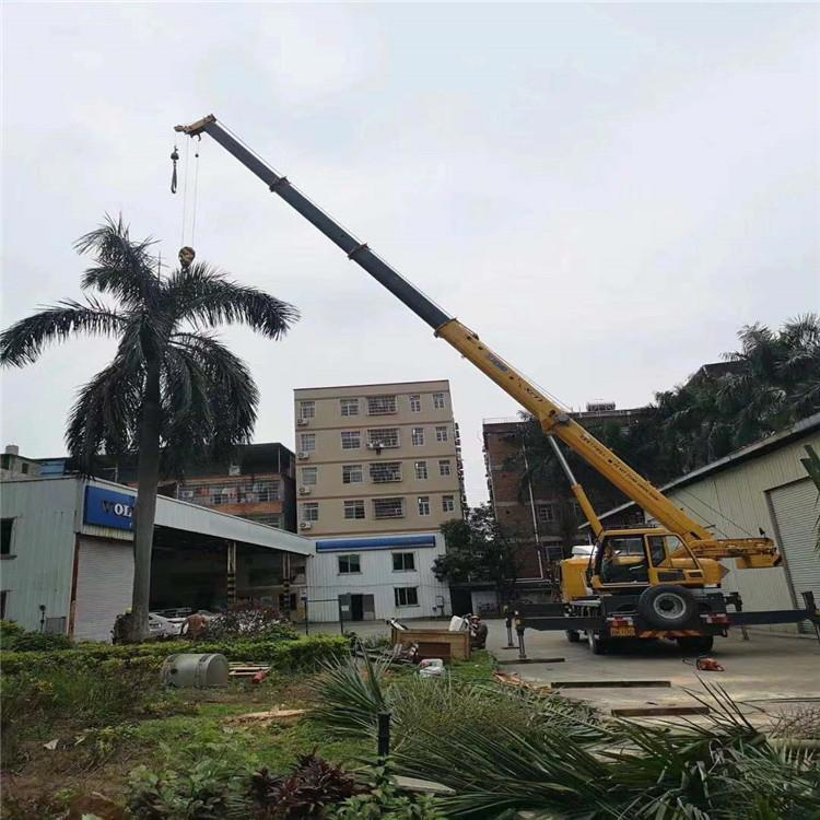 三才镇汽车吊出租多少钱？全面解析与市场行情